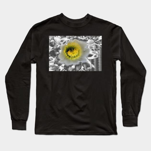 Metalised Night Cactus Flower Long Sleeve T-Shirt by Carole-Anne